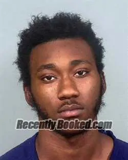 Recent Mugshot Image for ERIC ANDERSON in Manatee County, Florida