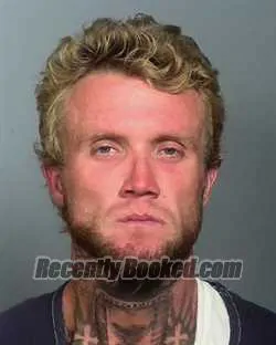 Recent Mugshot Image for AARON MATTHEW BROWN in Manatee County, Florida
