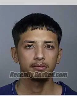 Recent Mugshot Image for ANGEL PEDRAZA-ROIS in Manatee County, Florida