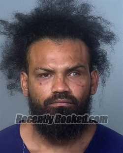 Recent Mugshot Image for EDWIN AMALFI MEJIA in Manatee County, Florida