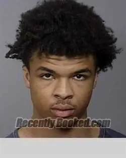 Recent Mugshot Image for AARON RASHARD MARTIN in Manatee County, Florida