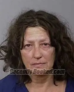 Recent Mugshot Image for KAREN ANN MAGINNIS in Manatee County, Florida