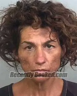 Recent Mugshot Image for AMANDA LYNN JOHNSON in Manatee County, Florida
