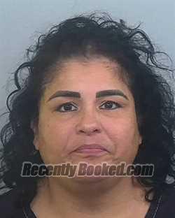 Recent Mugshot Image for LORENA JAMES in Manatee County, Florida