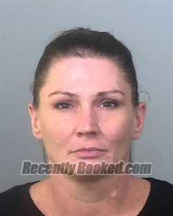 Recent Mugshot Image for ASHLEY NICOLE FELTS in Manatee County, Florida