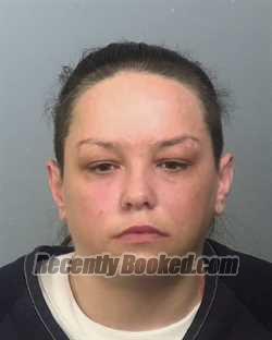 Recent Mugshot Image for KARLEEA SUE POWER in Manatee County, Florida