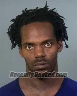 Recent Mugshot Image for DAVID SMITH in Manatee County, Florida