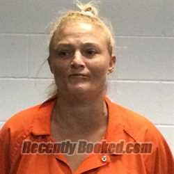 Recent Mugshot Image for JULIA ANN WOOLSEY in Polk County, Texas