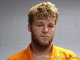 Recent Mugshot Image for RONALD BUSTER LEE in Polk County, Texas