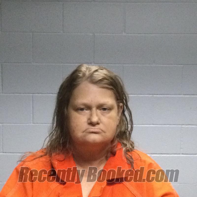 Recent Booking / Mugshot for JENNIFER ANEENE NESLER in Polk County, Texas