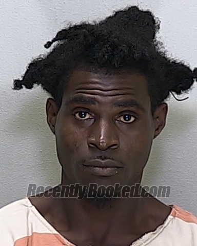 Recent Mugshot Image for MICHAEL TYRONE YOUNG in Marion County, Florida