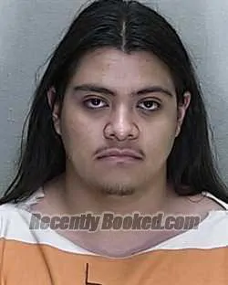 Recent Mugshot Image for MIGUEL ANGEL GARCIA in Marion County, Florida