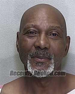 Recent Booking / Mugshot for BRIAN REGINALD GAINES in Marion County