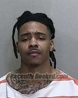 Recent Mugshot Image for ERIC HAMILTON in Marion County, Florida