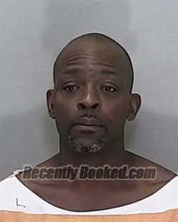Recent Mugshot Image for TIMOTHY ALAN JOHNSON in Marion County, Florida