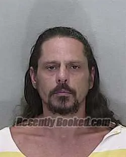 Recent Mugshot Image for JAMES MICHAEL HARRIS in Marion County, Florida