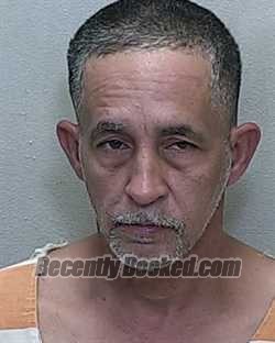Recent Mugshot Image for ELMER JOSE VELEZ in Marion County, Florida