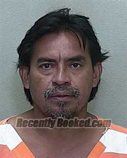 Recent Mugshot Image for JOSE ALONSO-CONTRERAS in Marion County, Florida