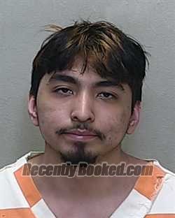 Recent Mugshot Image for JONATHAN VILLANUEVA in Marion County, Florida