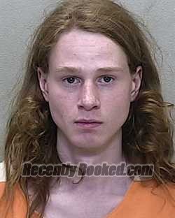 Recent Mugshot Image for JOHN FRANKLIN BROWN in Marion County, Florida