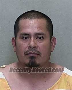 Recent Mugshot Image for BENITO LOPEZ-VASQUEZ in Marion County, Florida