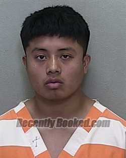 Recent Mugshot Image for JOSUE CRUZ MORALES in Marion County, Florida