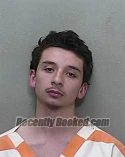 Recent Mugshot Image for JONATHAN ABRAN SANTOS in Marion County, Florida