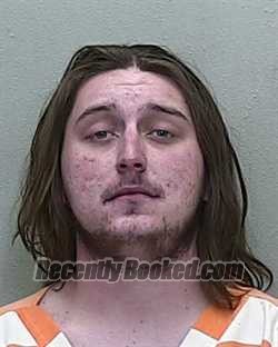 Recent Mugshot Image for JOSEPH ALLEN DIGRINO III in Marion County, Florida