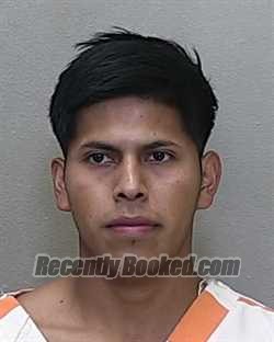 Recent Mugshot Image for ROCAEL E CHAVEZ CHAVEZ in Marion County, Florida