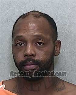 Recent Mugshot Image for TEVIN DION MOZELL in Marion County, Florida