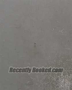 Recent Mugshot Image for PATRICK ALLEN THOMPSON in Marion County, Florida