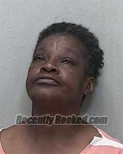 Recent Mugshot Image for VENUS SIMONE LEWIS in Marion County, Florida