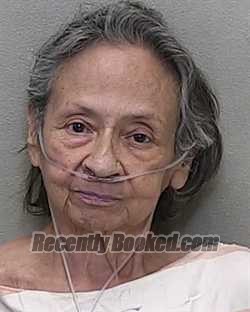 Recent Mugshot Image for ROSARIO CAFFARO in Marion County, Florida