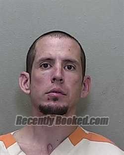 Recent Mugshot Image for STEVEN ANDREW HEDDEN in Marion County, Florida