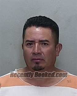 Recent Mugshot Image for NEHEMIAS JOEL MACHADO PORTILLO in Marion County, Florida