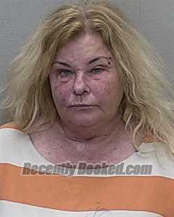 Recent Mugshot Image for LINDIE SMITH REISS in Marion County, Florida