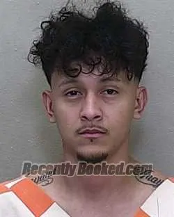 Recent Mugshot Image for JOSEPH EMANUEL TREJOS VEGA in Marion County, Florida