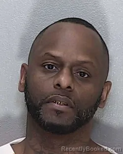 Recent Mugshot Image for ERIC EVONDRIEL JAMERSON in Marion County, Florida