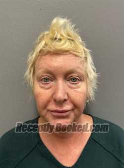 Recent Mugshot Image for DIANA DENISE MARICLE in Martin County, Florida