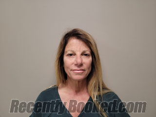 Recent Mugshot Image for DAWN MARIE ARNONE in Martin County, Florida