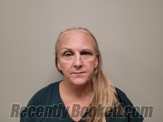 Recent Mugshot Image for AMY DENISE GONZALEZ in Martin County, Florida