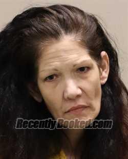 Recent Mugshot Image for WENDI MARIE DARGON in Martin County, Florida