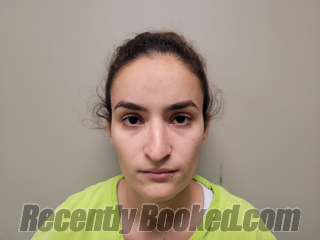 Recent Mugshot Image for JESSICA DANIELLA VALERO-PENA in Martin County, Florida