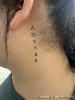 Recent Mugshot Image for LINOSHKA ORELLANA DIAZ in Martin County, Florida