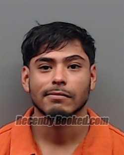 Recent Mugshot Image for FERNANDO ALBERT TELLEZ-MORENO in Smith County, Texas