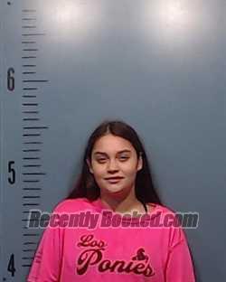 Recent Booking / Mugshot for Mandy Marie Mathis in Taylor County, Texas