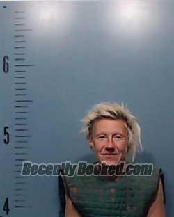 Recent Mugshot Image for Jessica Lynn Denison in Taylor County, Texas