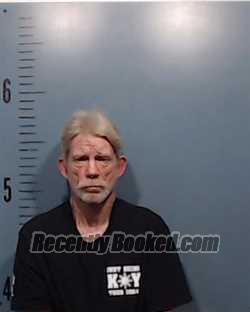 Recent Mugshot Image for Kelly Lynn Walker in Taylor County, Texas