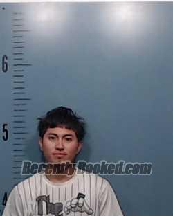 Recent Mugshot Image for Mauricio Franscisco Renteria-Reyes in Taylor County, Texas