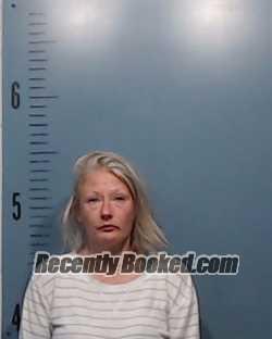 Recent Mugshot Image for Melissa Clerk in Taylor County, Texas